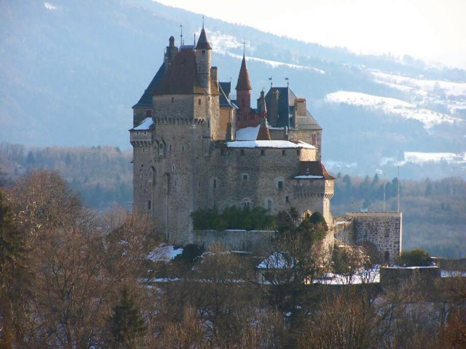 Maison 3 Chambres Au Lac D'Annecy, 30Min La Clusaz Menthon-Saint-Bernard Dış mekan fotoğraf