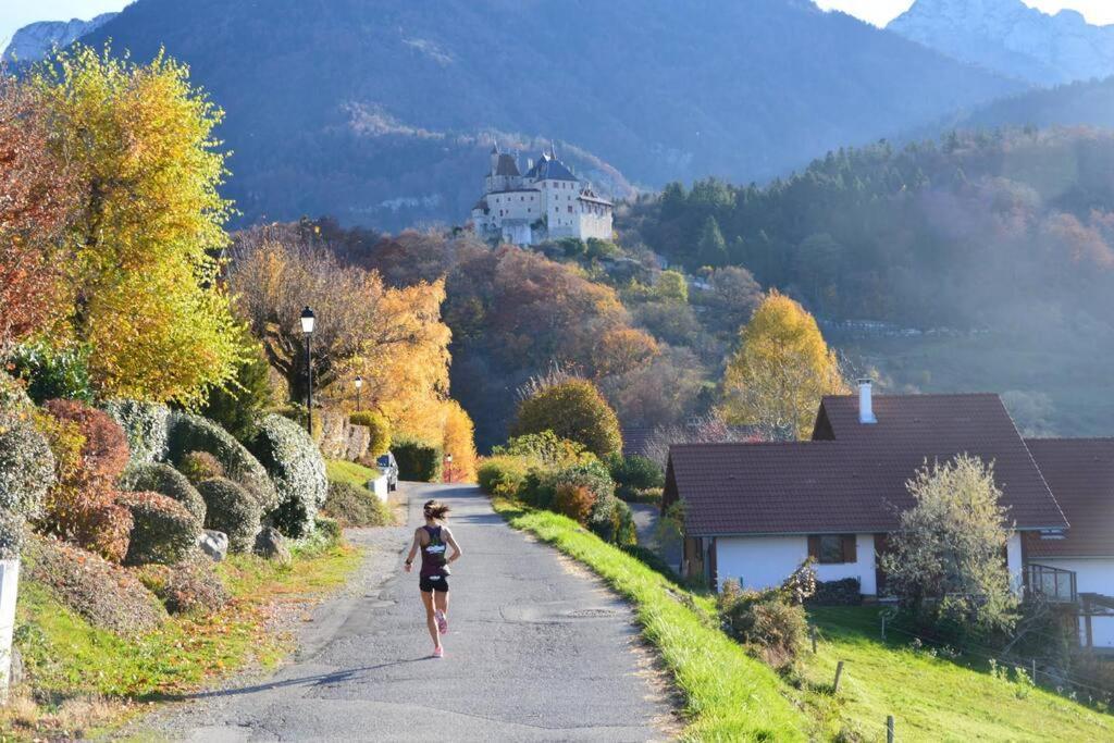 Maison 3 Chambres Au Lac D'Annecy, 30Min La Clusaz Menthon-Saint-Bernard Dış mekan fotoğraf