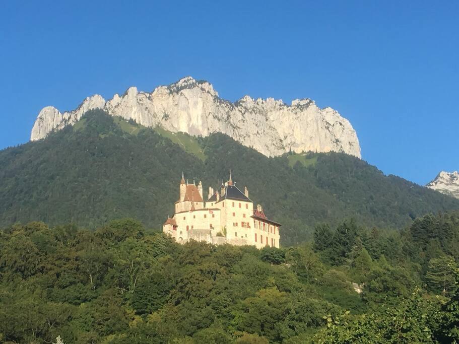 Maison 3 Chambres Au Lac D'Annecy, 30Min La Clusaz Menthon-Saint-Bernard Dış mekan fotoğraf